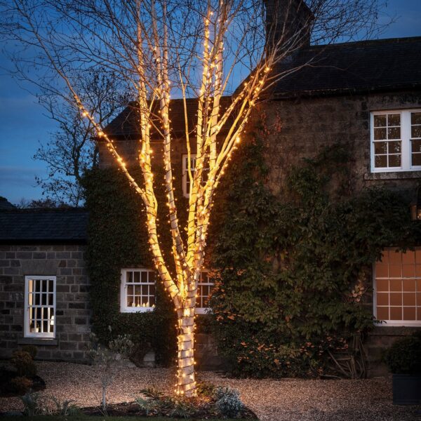 String Light