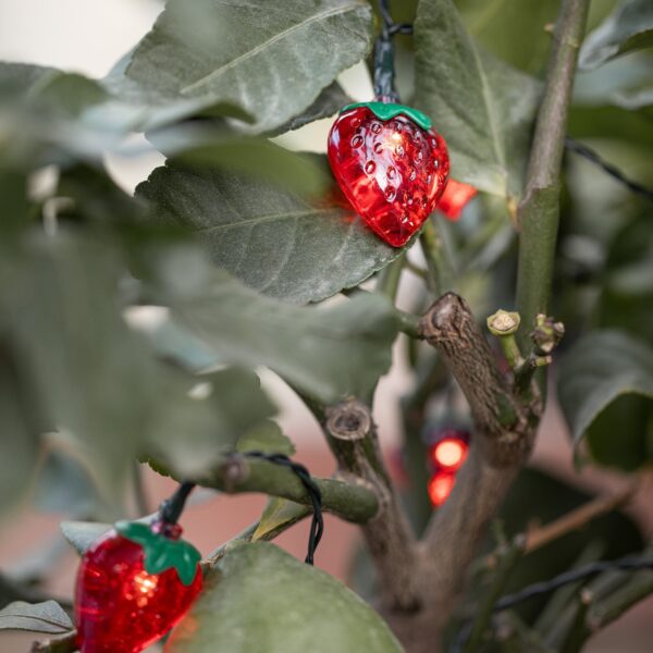 20 Strawberry Solar String Lights